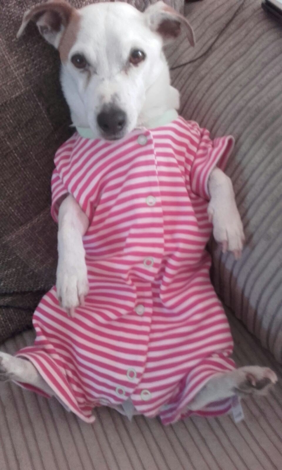 Coco’s confesssions