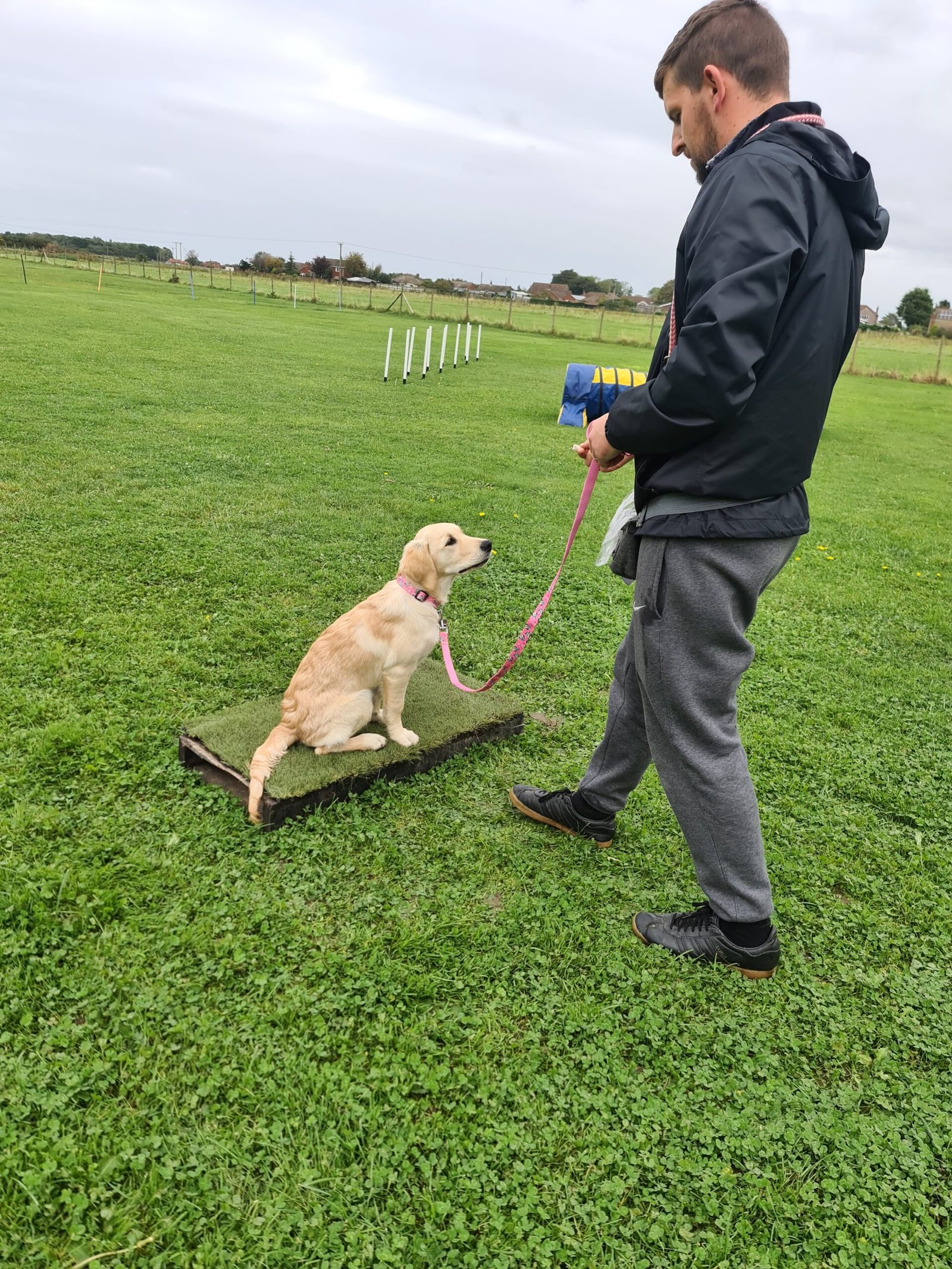 starting place board training.