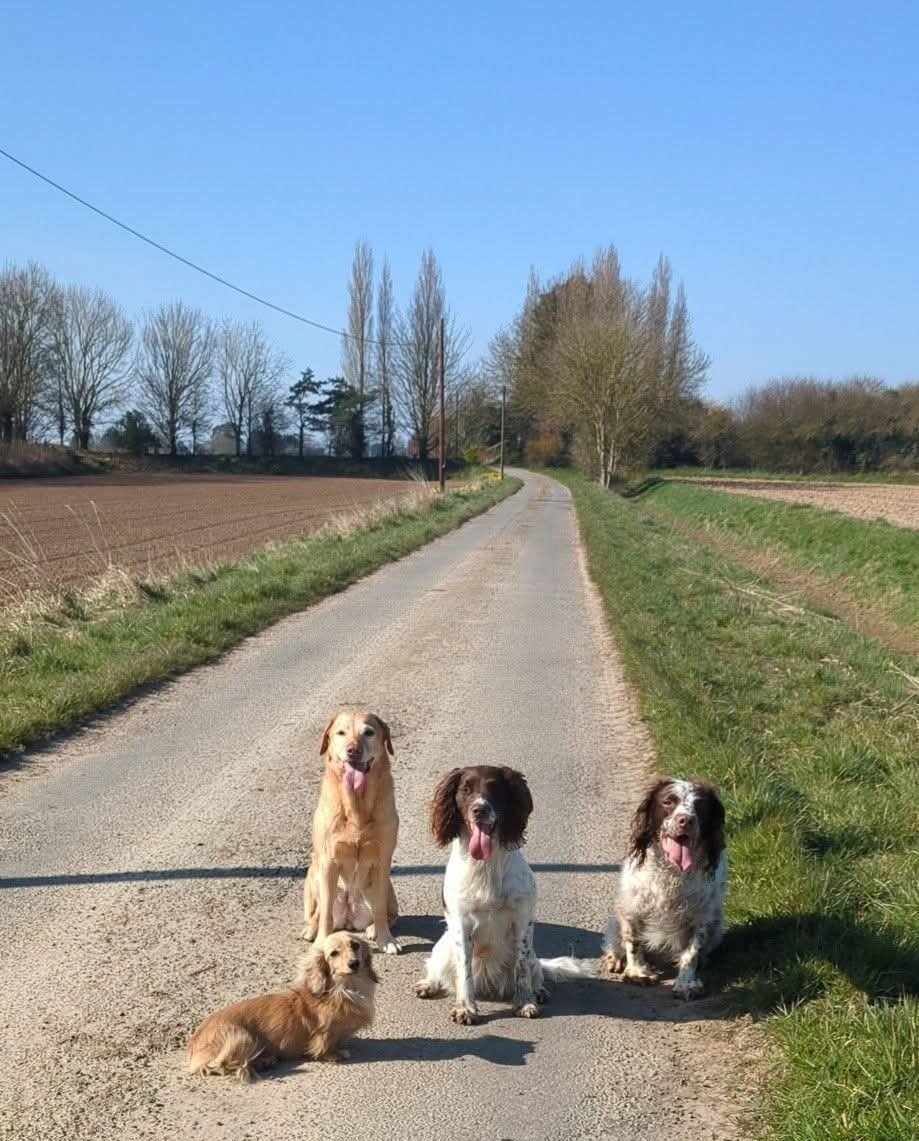 dog friendly walks in Lincolnshire